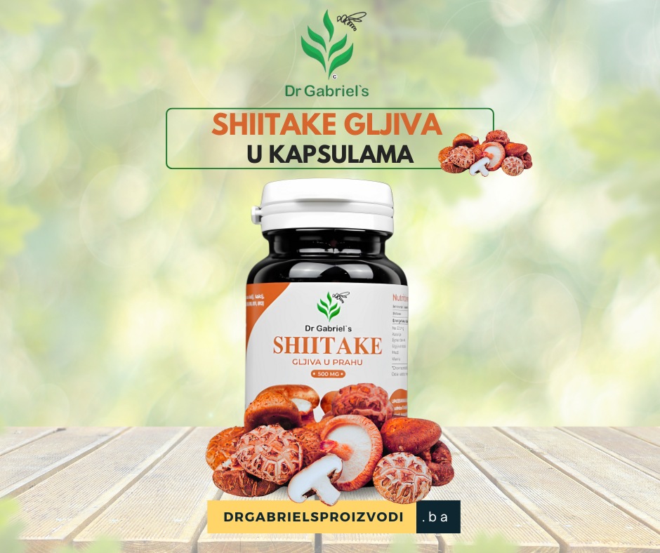 shiitake-gljiva