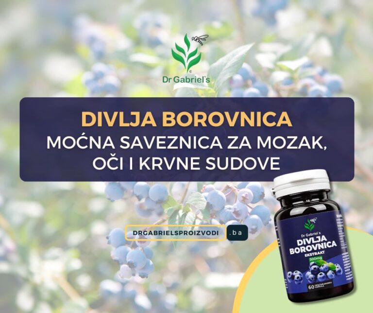 divlja-borovnica-koristi