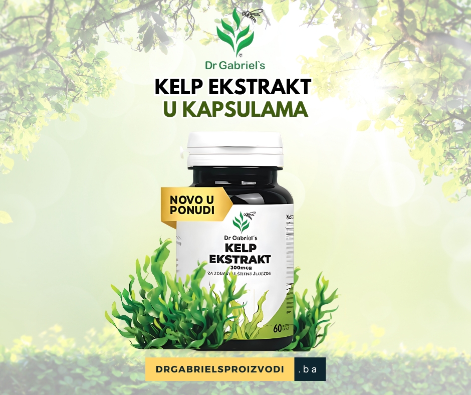 kelp-ekstrakt