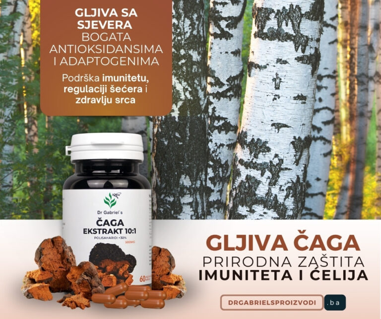 caga-najmocnija-gljiva