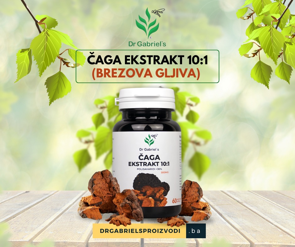 dr-gabriels-caga-gljiva-ekstrakt
