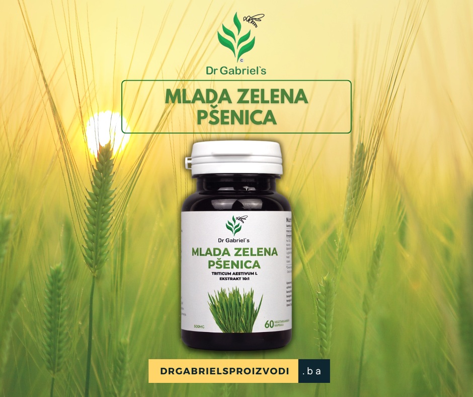 dr-gabriels-mlada-zelena-psenica