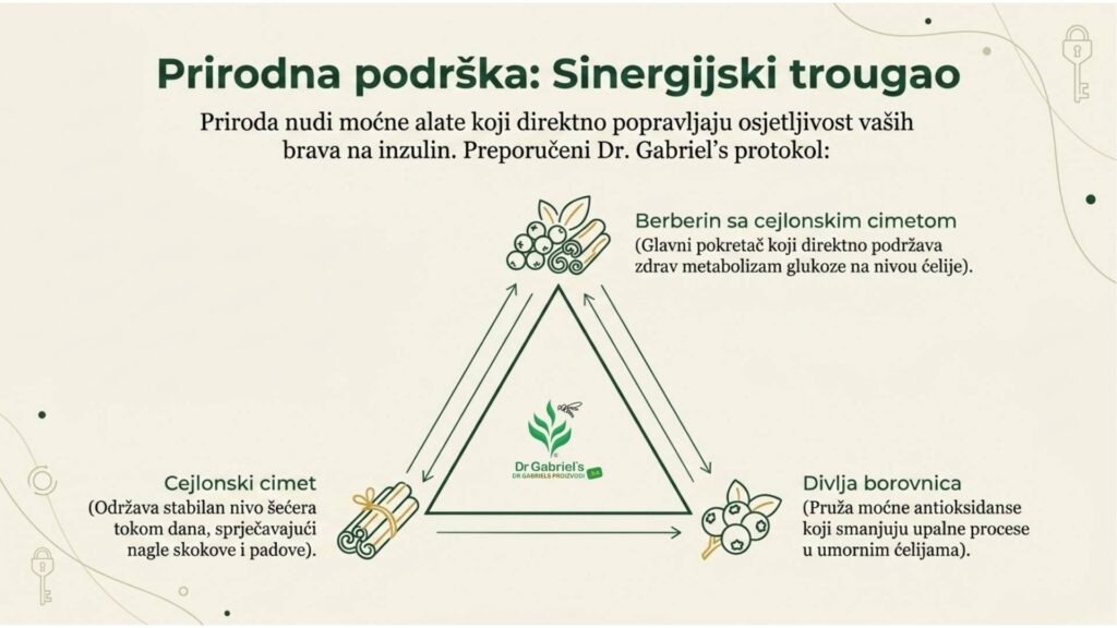 12_znakova_inzulinske_rezistencije