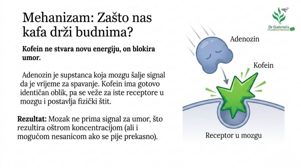 Kafa_i_zdravlje__korisni_savjeti