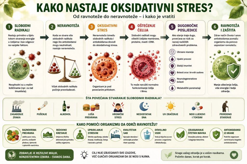 kako-nastaje-oksidativni-stres