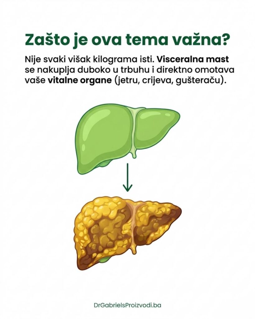 šta je visceralna mast