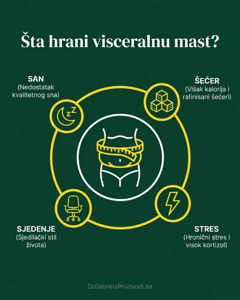 šta hrani vascelarnu mast