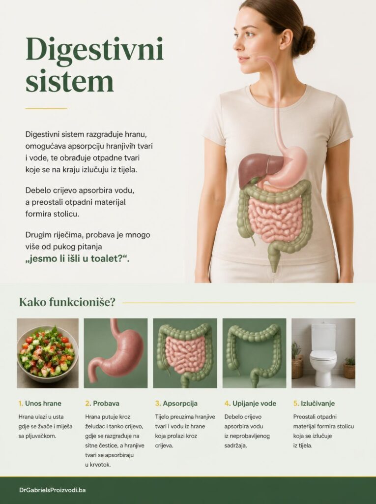 probavni-sistem
