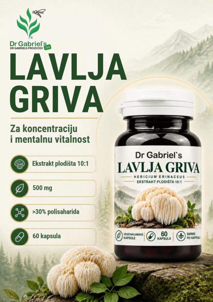 lavlja-griva-kapsule-500-mg-ekstrakt