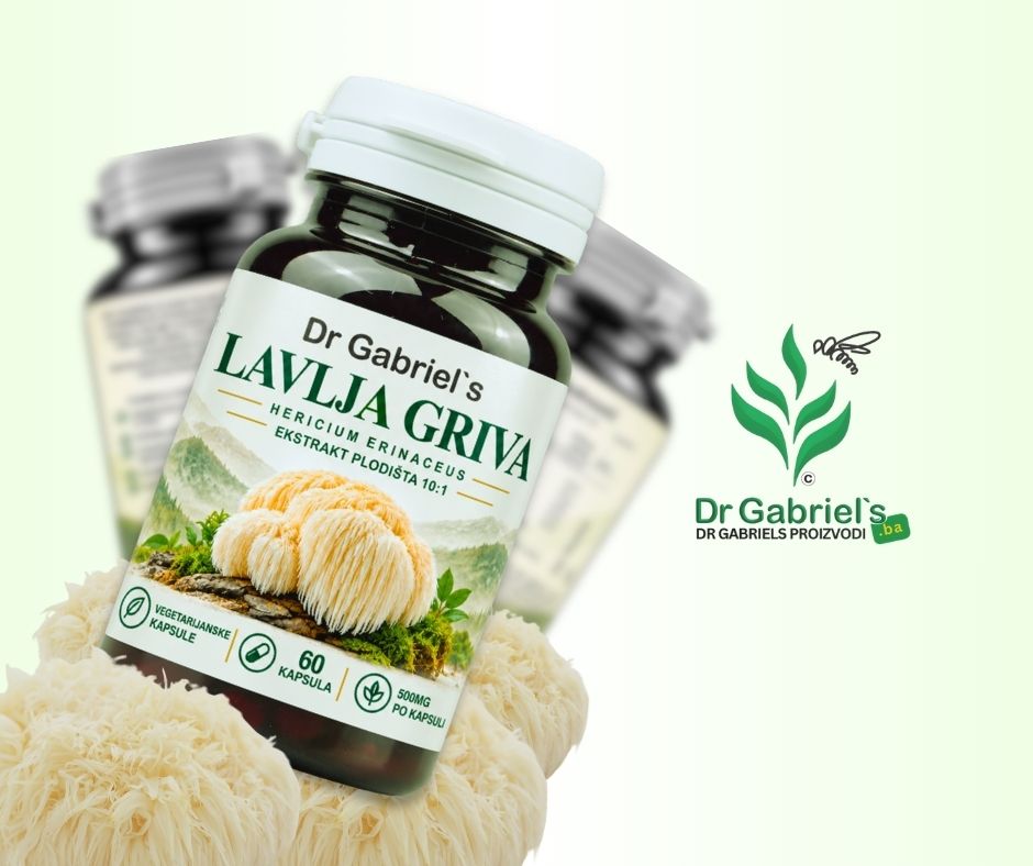 lavlja-griva-kapsule-500-mg-ekstrakt